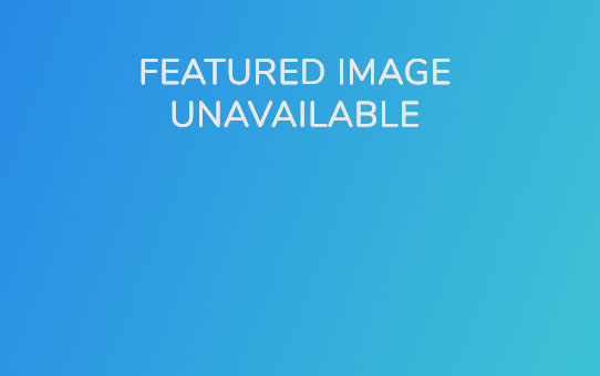 目まぐるしく半年が過ぎてしまいました